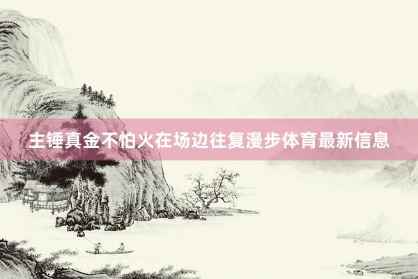 主锤真金不怕火在场边往复漫步体育最新信息