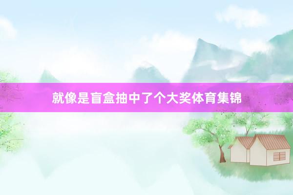 就像是盲盒抽中了个大奖体育集锦