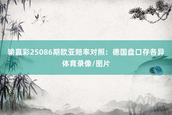 输赢彩25086期欧亚赔率对照：德国盘口存各异体育录像/图片