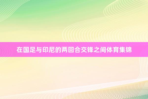在国足与印尼的两回合交锋之间体育集锦