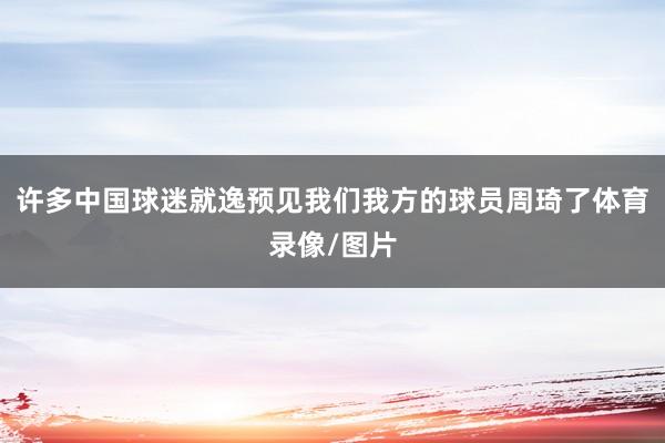 许多中国球迷就逸预见我们我方的球员周琦了体育录像/图片