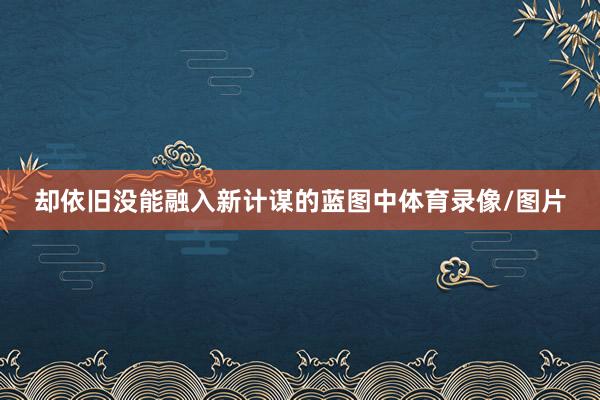 却依旧没能融入新计谋的蓝图中体育录像/图片
