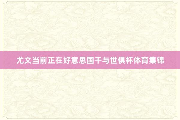 尤文当前正在好意思国干与世俱杯体育集锦