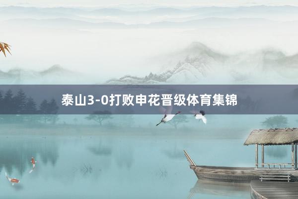 泰山3-0打败申花晋级体育集锦