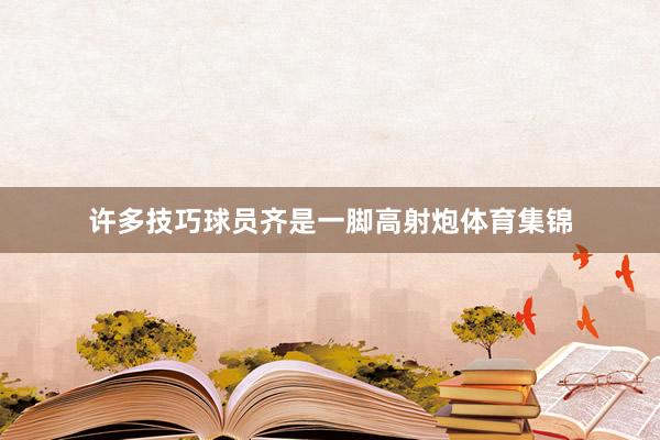 许多技巧球员齐是一脚高射炮体育集锦