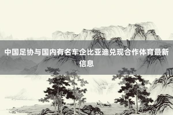 中国足协与国内有名车企比亚迪兑现合作体育最新信息