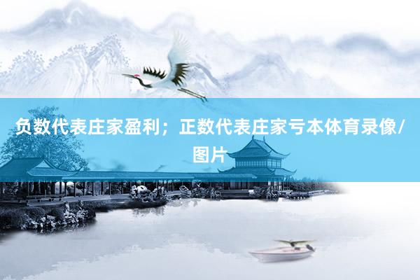 负数代表庄家盈利;正数代表庄家亏本体育录像/图片