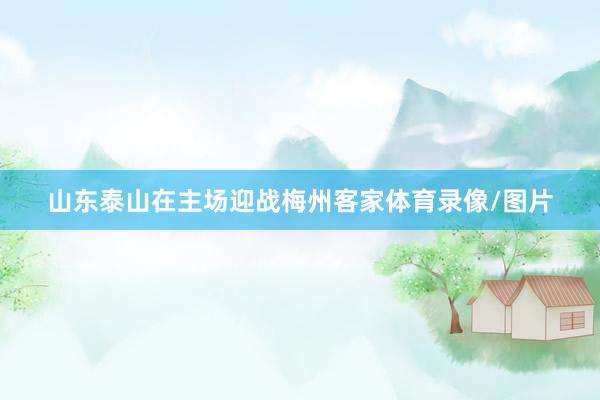 山东泰山在主场迎战梅州客家体育录像/图片