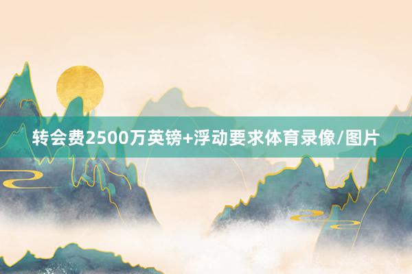转会费2500万英镑+浮动要求体育录像/图片