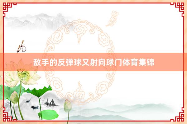敌手的反弹球又射向球门体育集锦