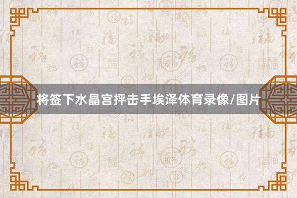 将签下水晶宫抨击手埃泽体育录像/图片