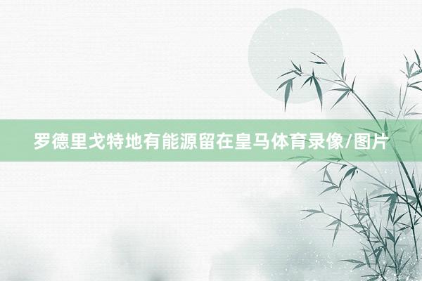 罗德里戈特地有能源留在皇马体育录像/图片