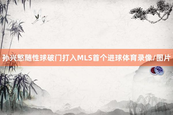 孙兴慜随性球破门打入MLS首个进球体育录像/图片