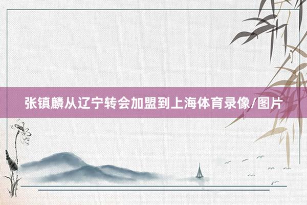 张镇麟从辽宁转会加盟到上海体育录像/图片